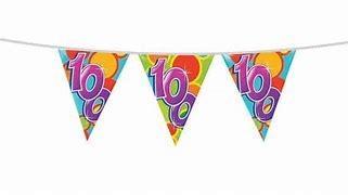 VLAGGENLIJN 10 METER 100 JAAR 5 STUKS ()